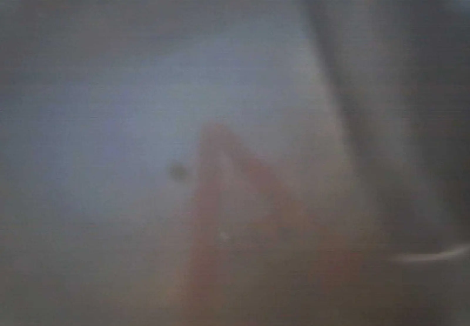 Field frame from the Arden turbid-water camera, with a target outline visible through the sediment