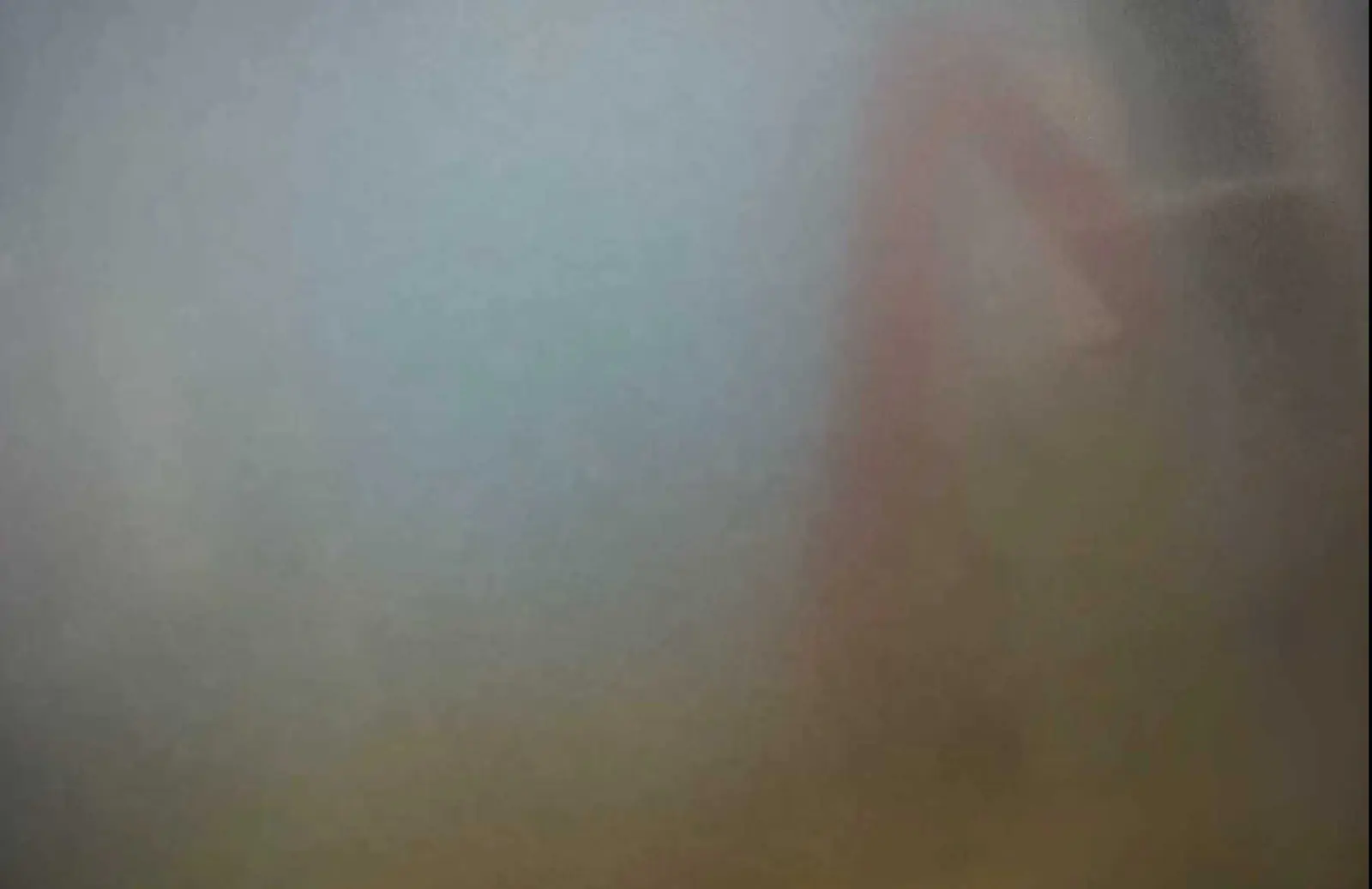 Field frame from a reference camera in the same turbid water