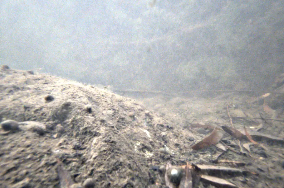 Field frame in turbid water showing bed texture and submerged debris