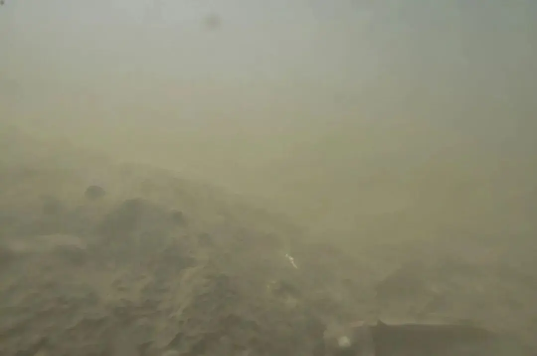 Field frame in turbid water, sediment obscuring the bed