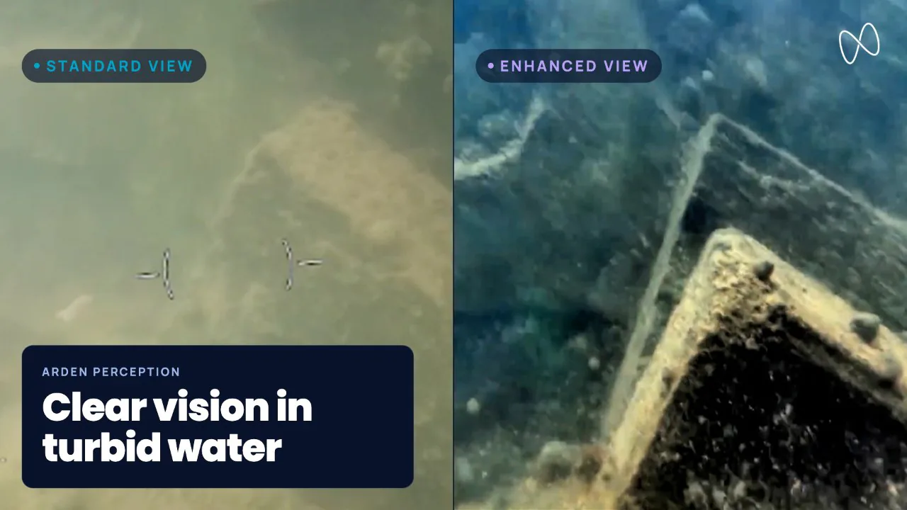 Standard view and enhanced view of turbid-water camera footage